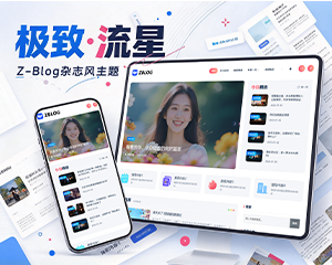 极致·流星 杂志风博客主题