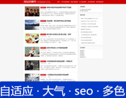 自适应大气红色SEO主题 自适应大气红色SEO主题